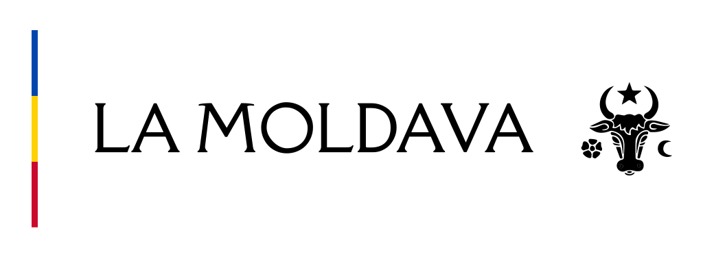 Logo 1